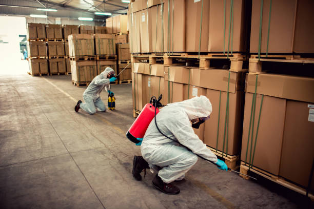 Reliable Conway, SC Pest Control Solutions
