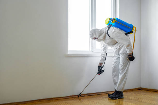 Professional Pest Control in Conway, SC